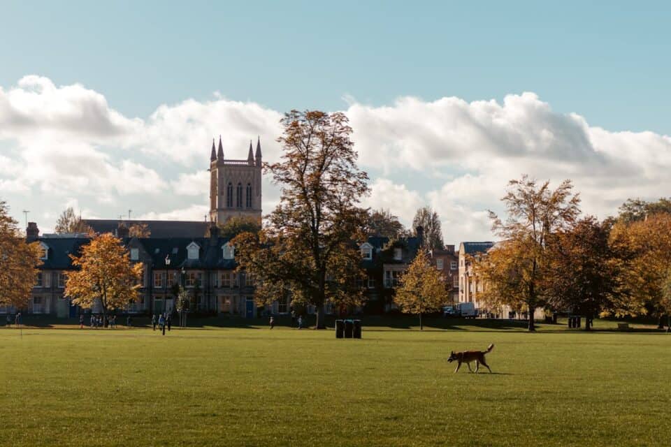Cambridge university building and lawn.