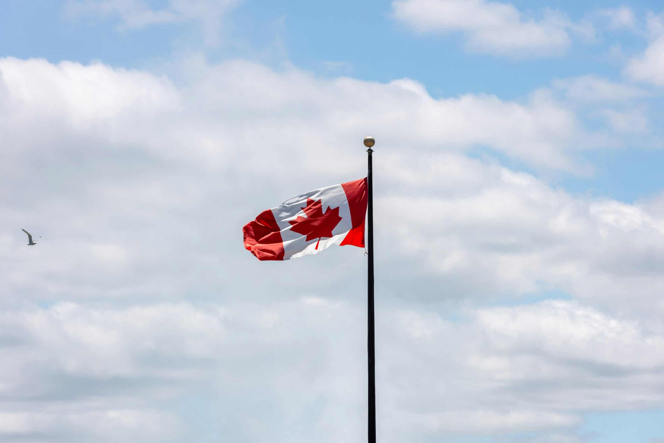 Mais de um quarto dos estudantes que procuram asilo no Canadá vindos da Índia e da Nigéria