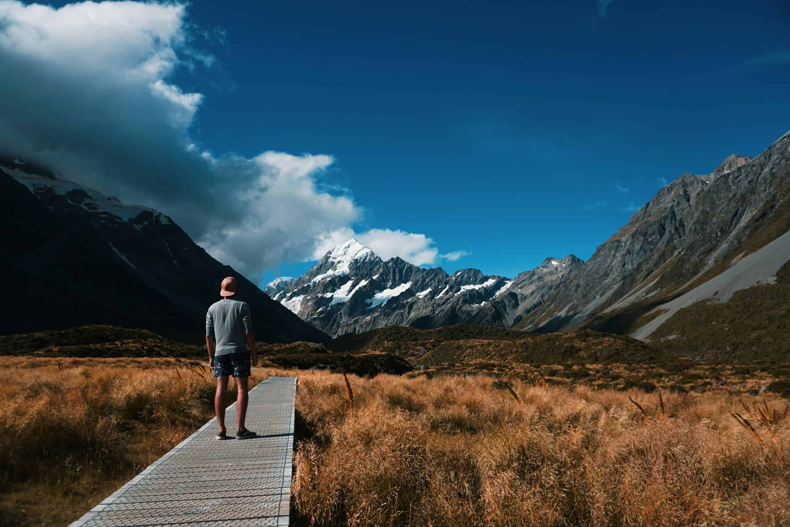 New Zealand’s international education sector booms